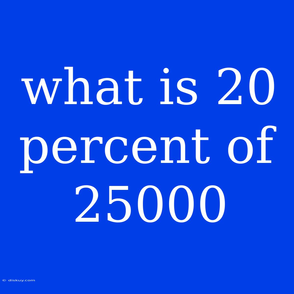 What Is 20 Percent Of 25000