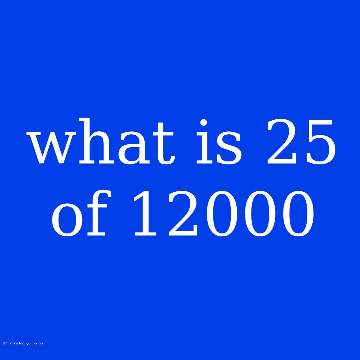 What Is 25 Of 12000