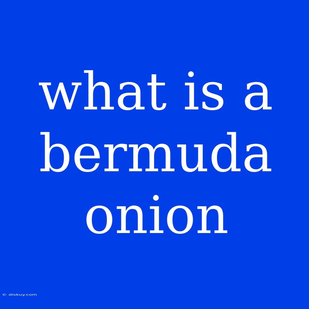 What Is A Bermuda Onion