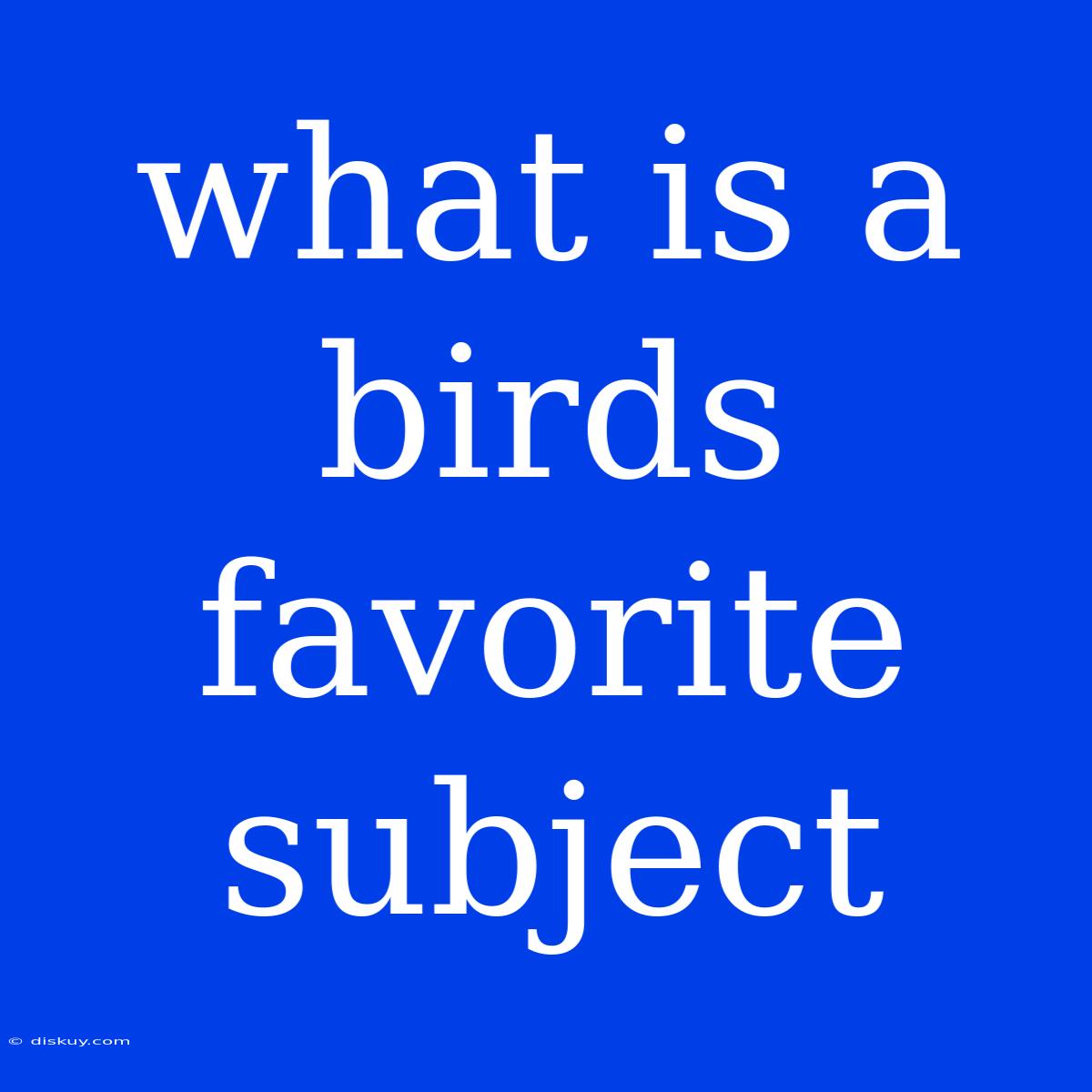 What Is A Birds Favorite Subject