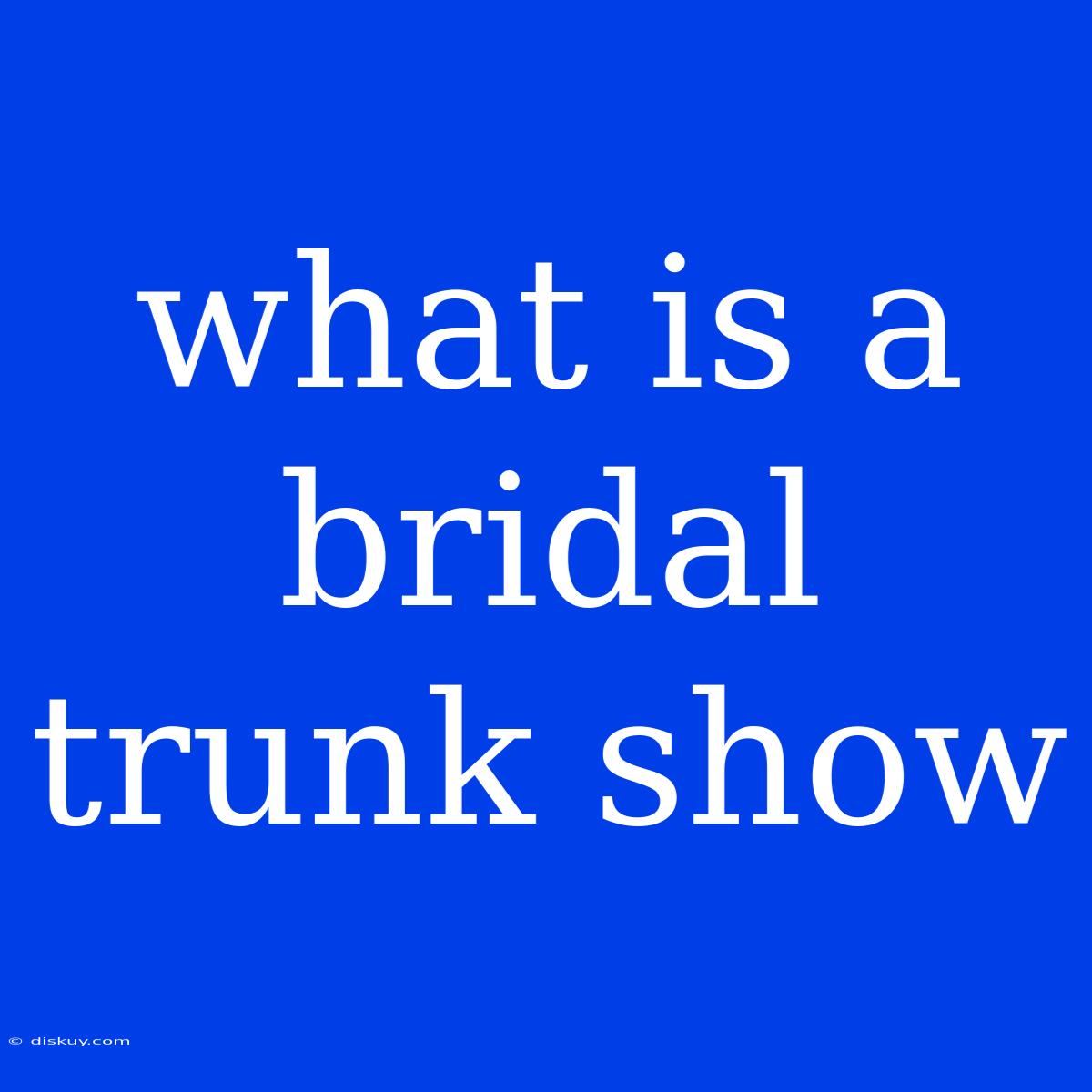 What Is A Bridal Trunk Show