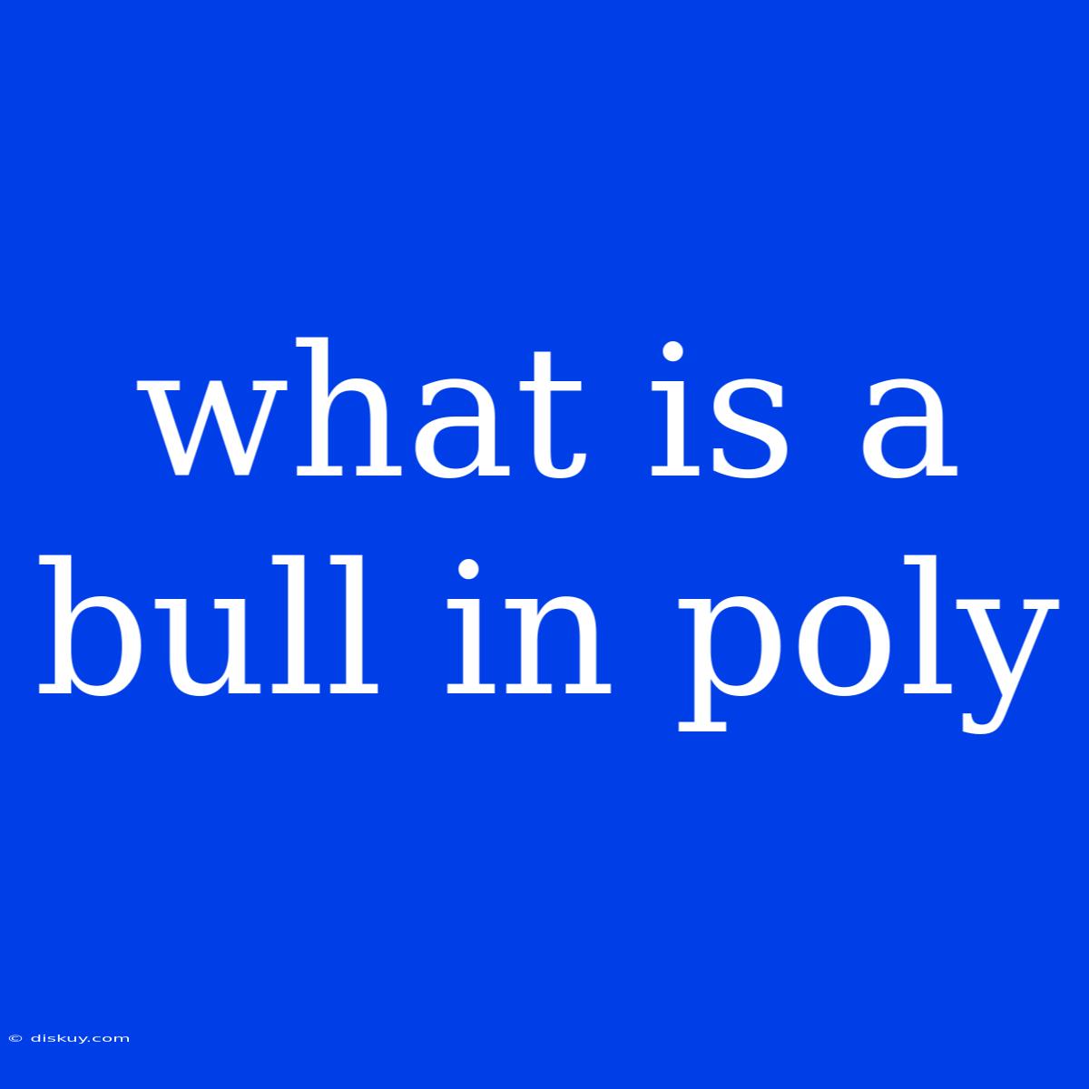 What Is A Bull In Poly