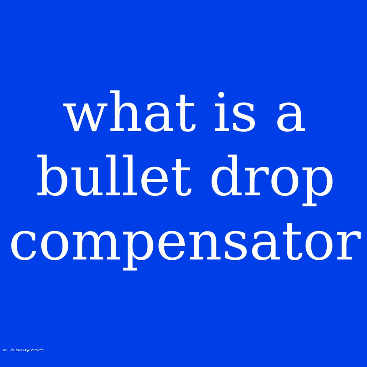 What Is A Bullet Drop Compensator