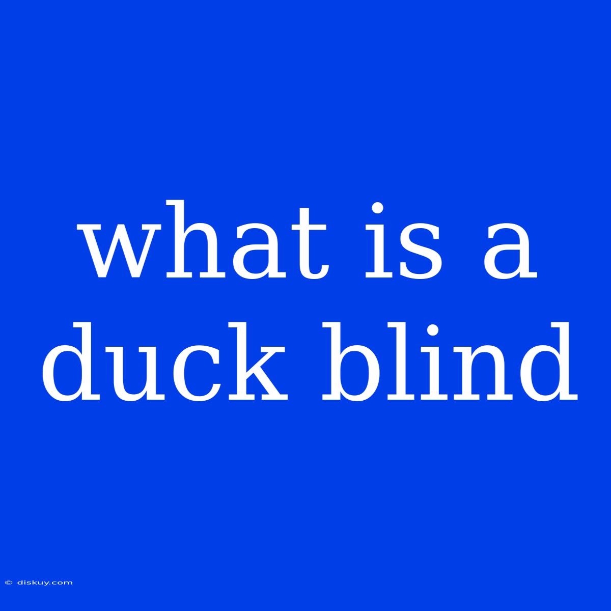 What Is A Duck Blind