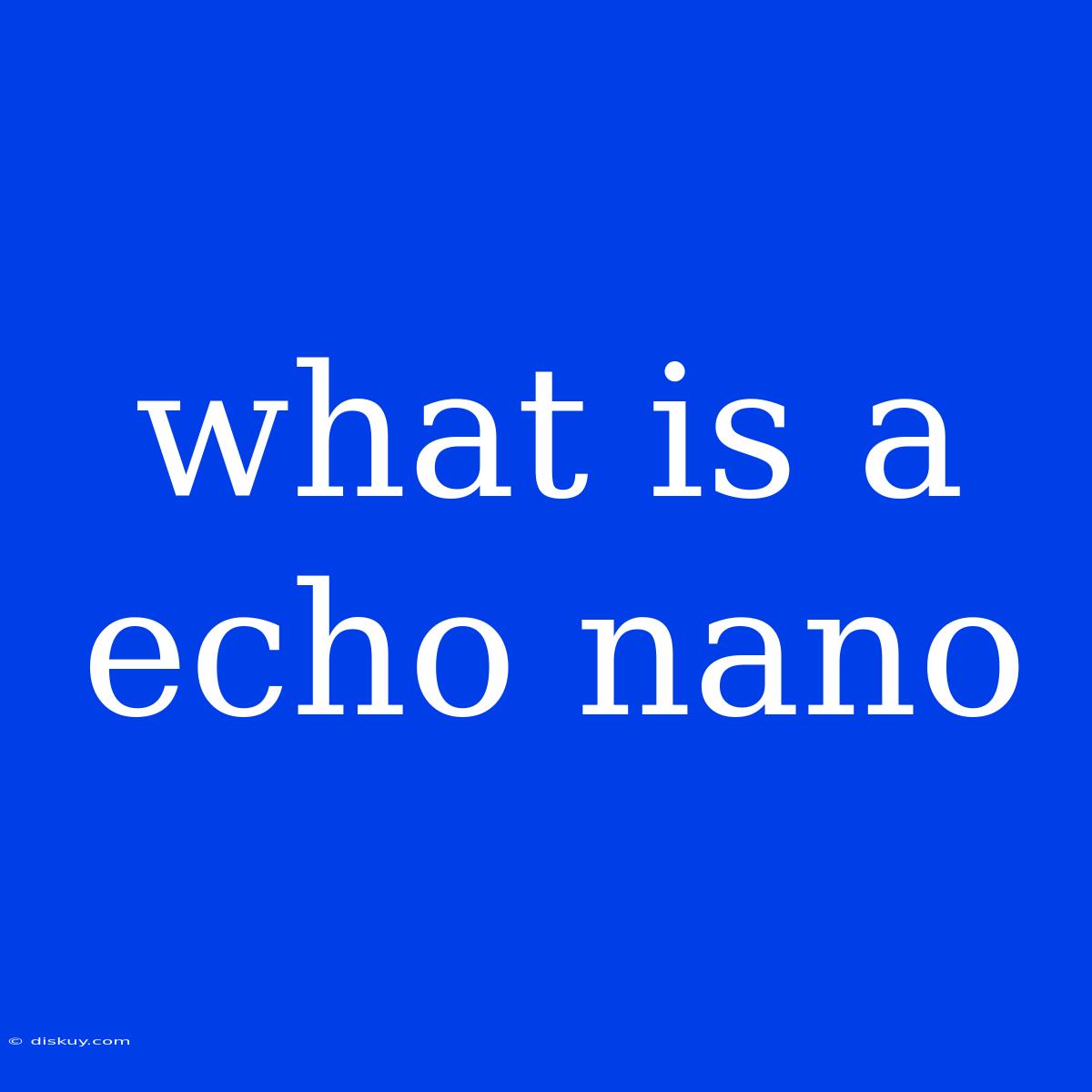 What Is A Echo Nano