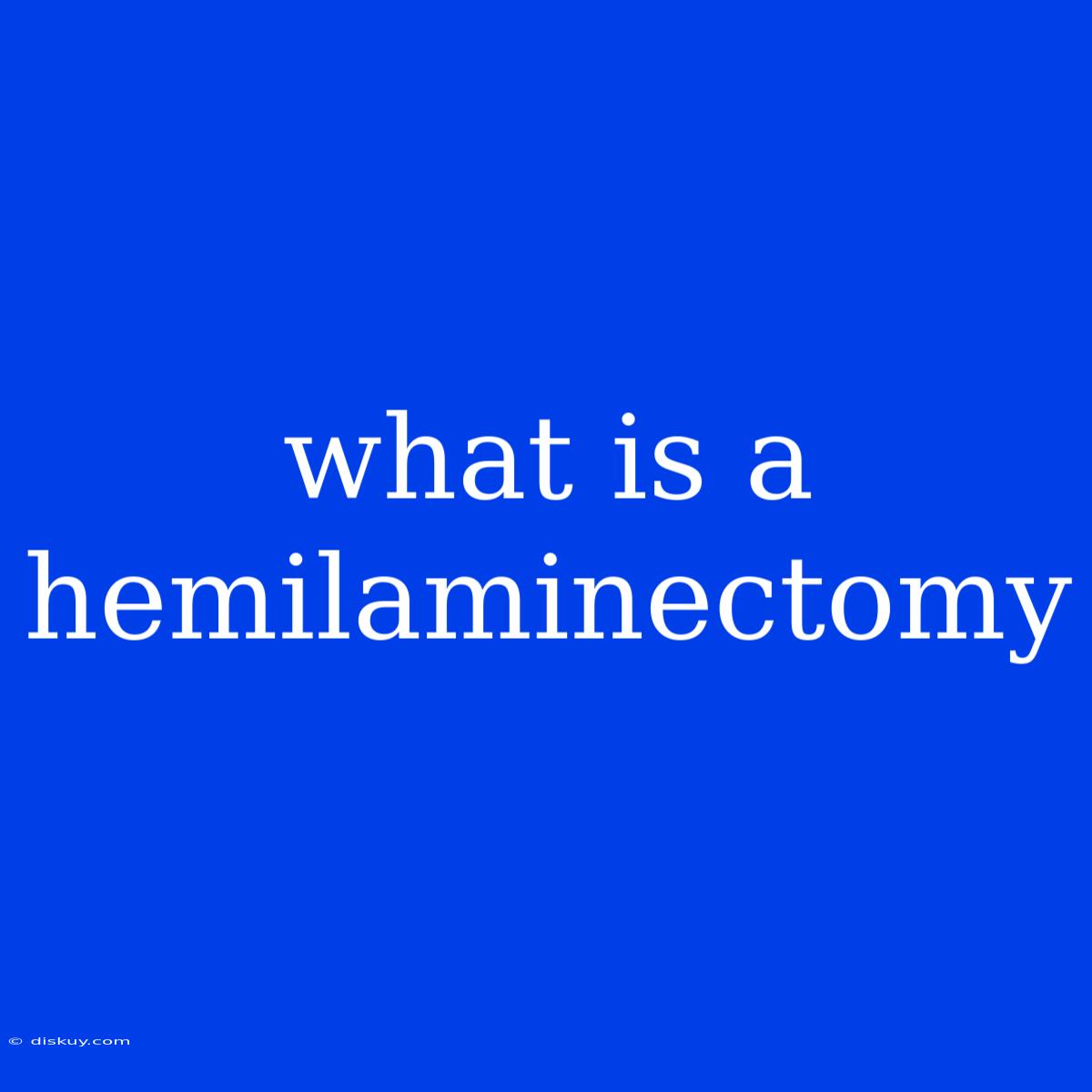 What Is A Hemilaminectomy