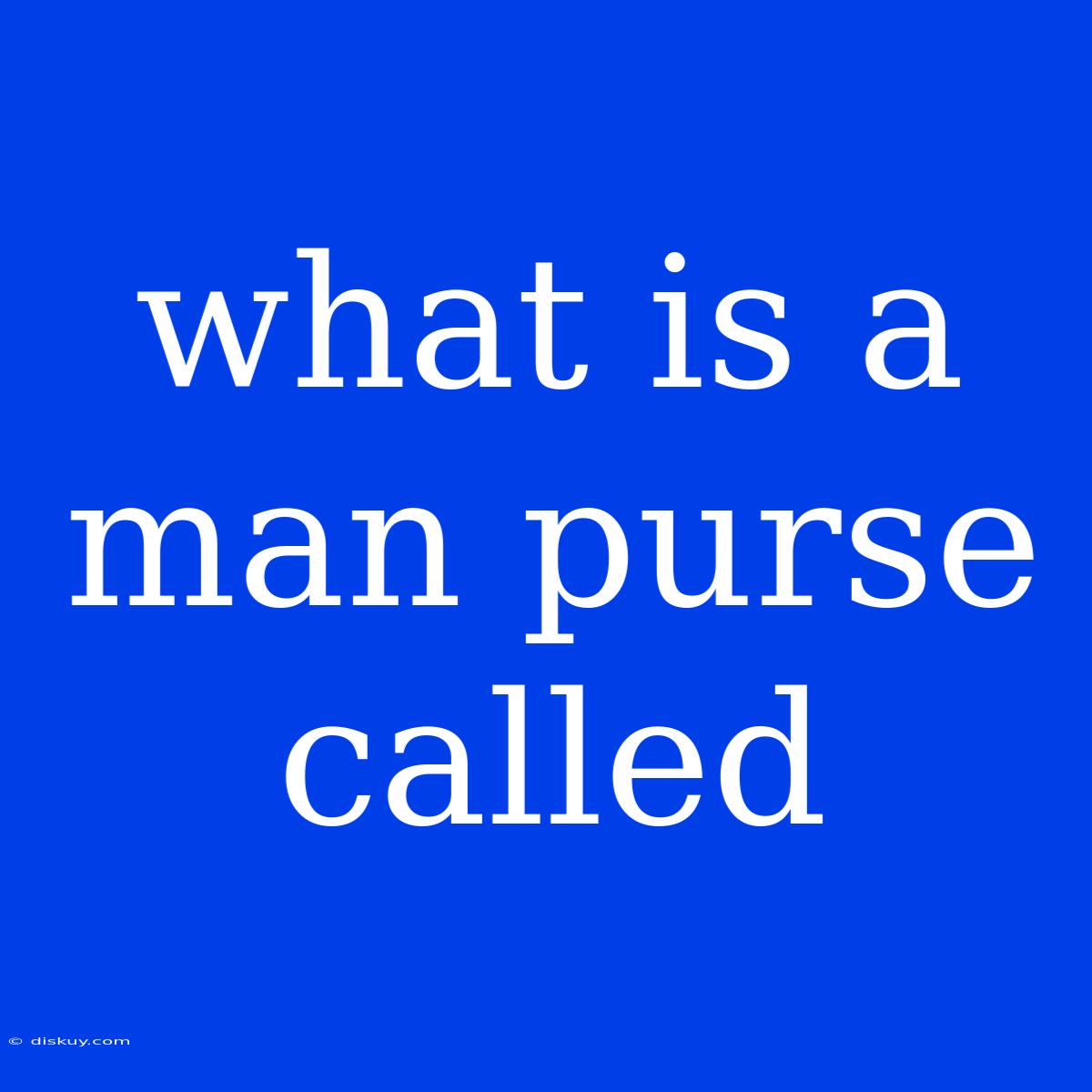 What Is A Man Purse Called