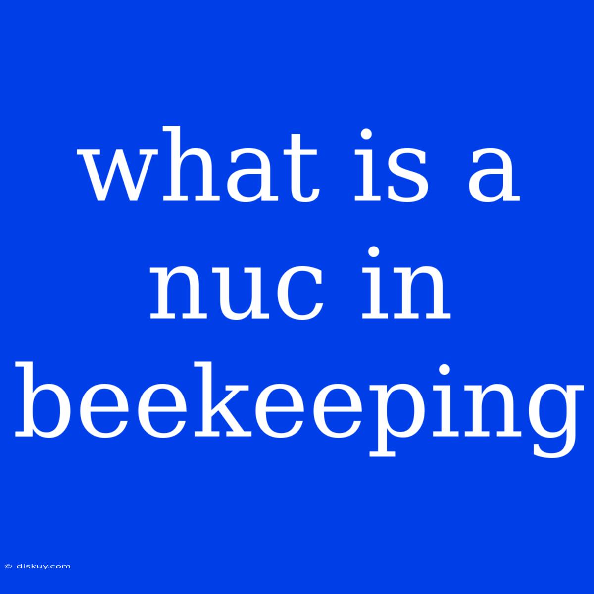 What Is A Nuc In Beekeeping