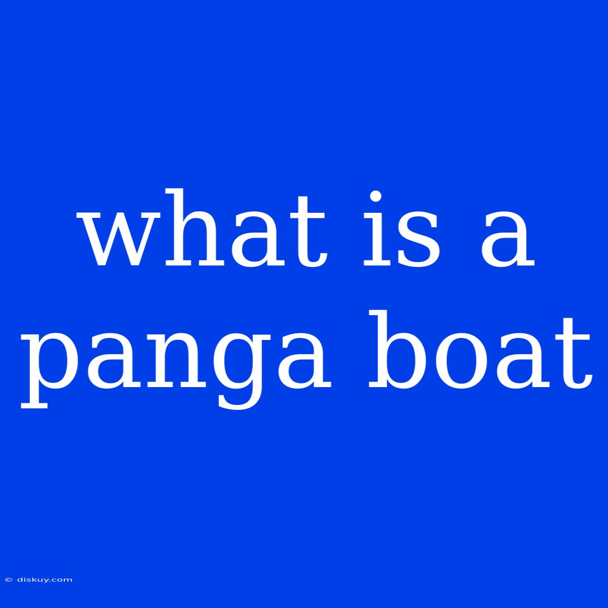 What Is A Panga Boat