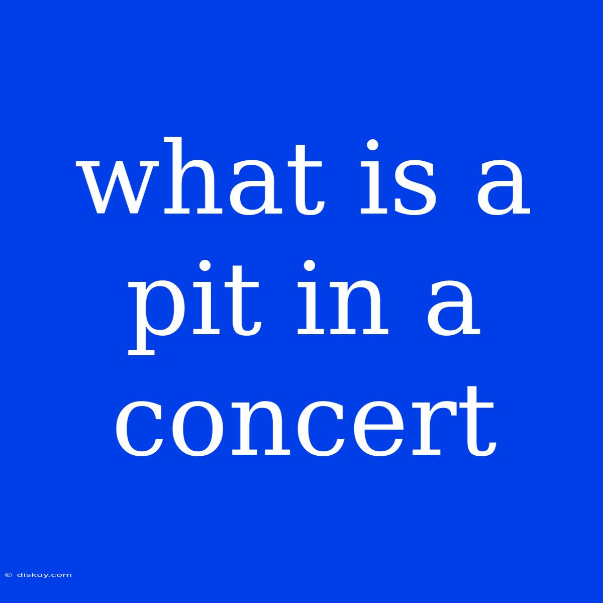 What Is A Pit In A Concert