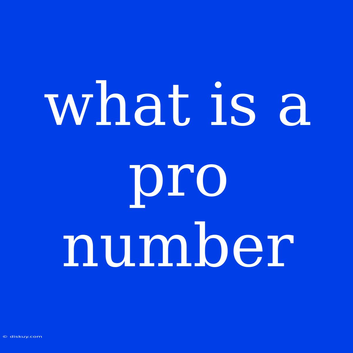 What Is A Pro Number