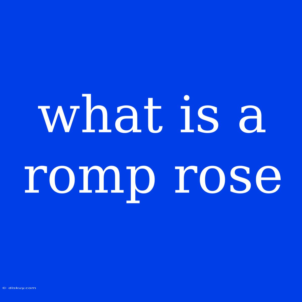 What Is A Romp Rose