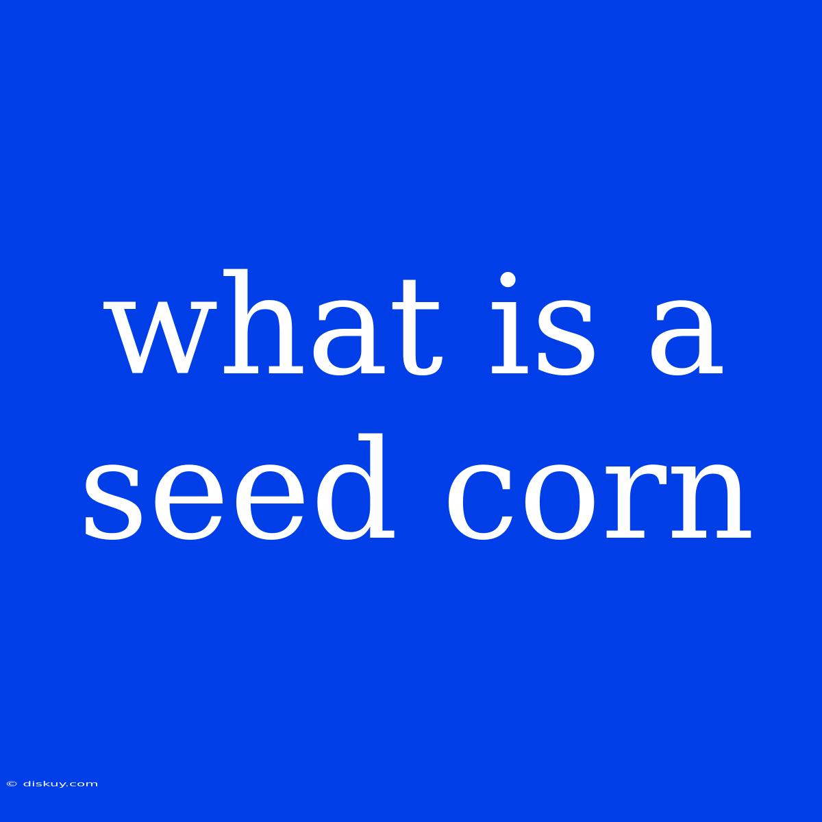 What Is A Seed Corn