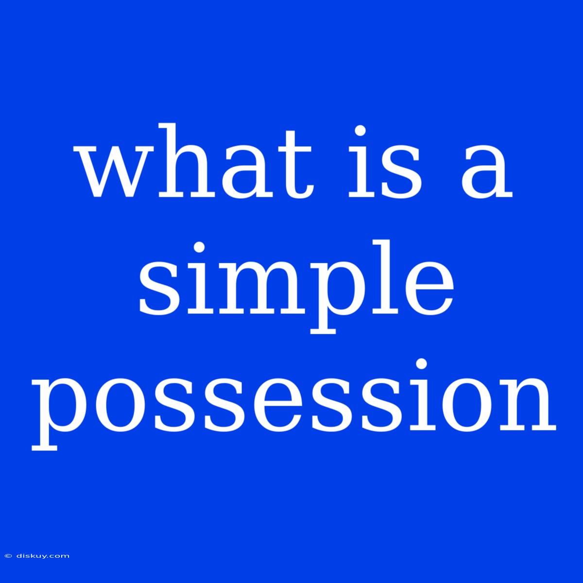 What Is A Simple Possession