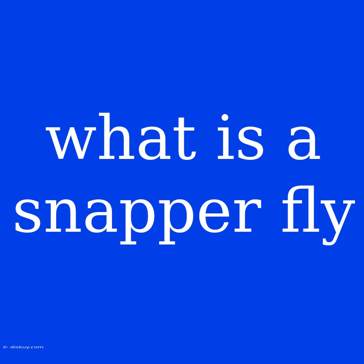 What Is A Snapper Fly