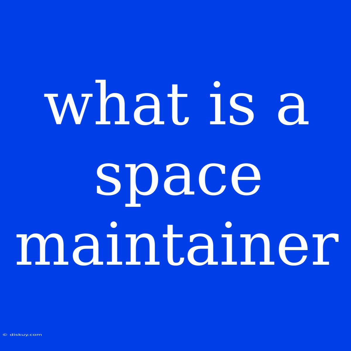 What Is A Space Maintainer