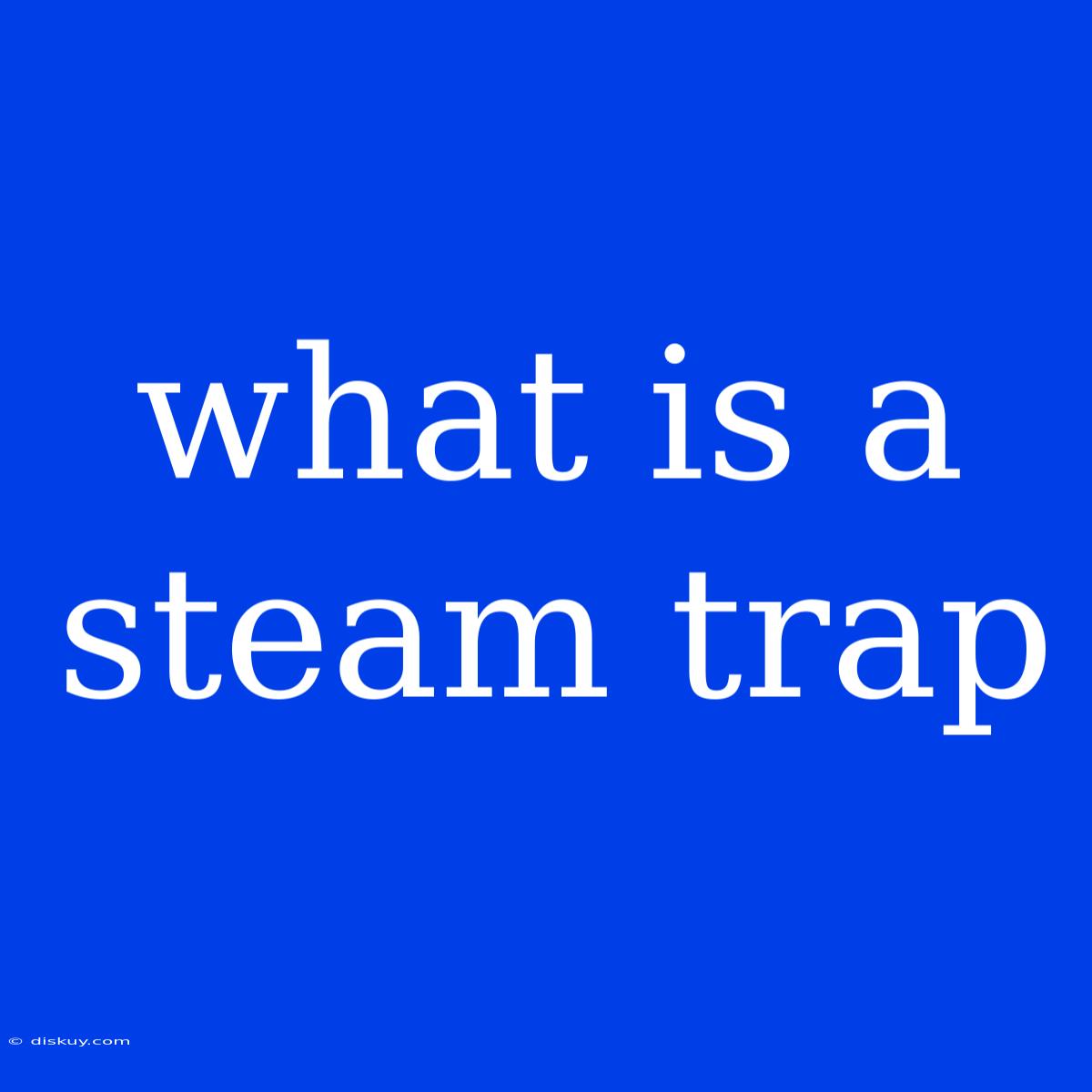 What Is A Steam Trap