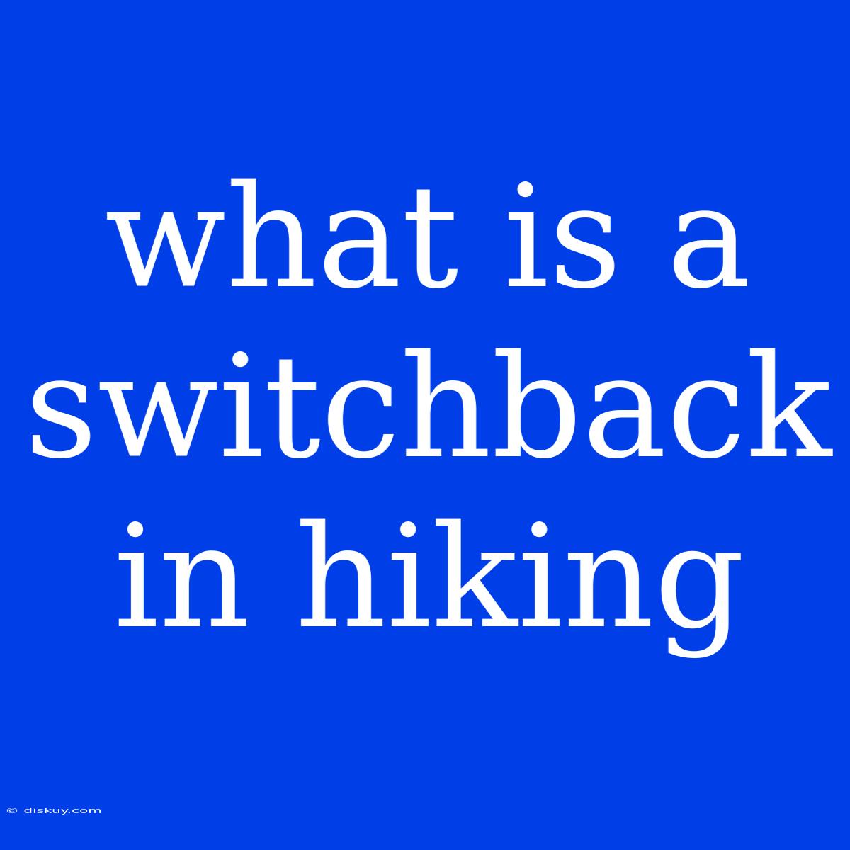 What Is A Switchback In Hiking