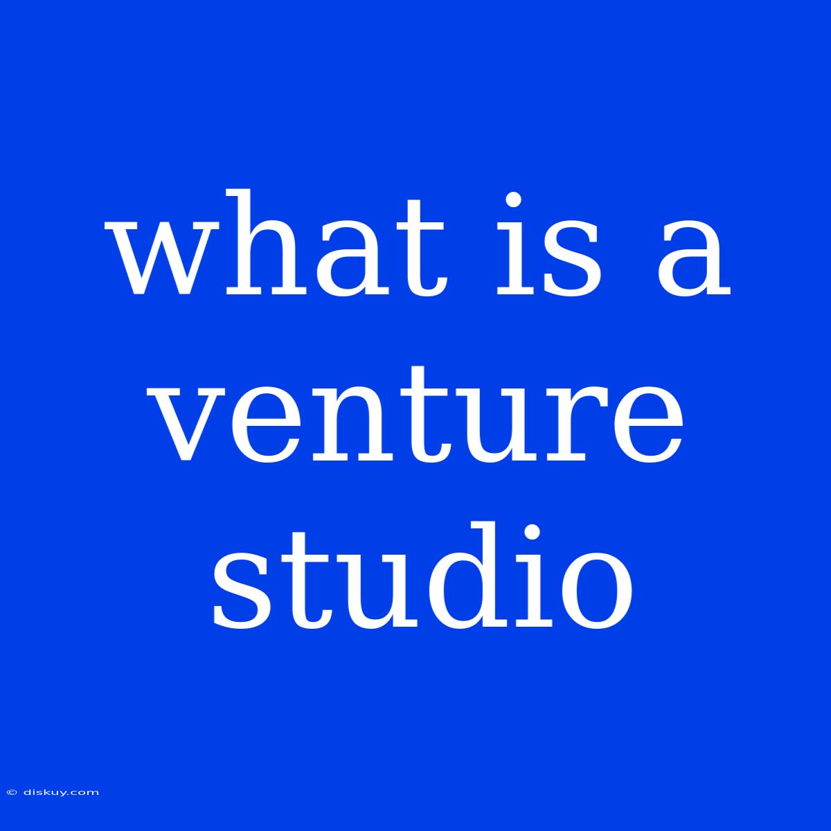 What Is A Venture Studio