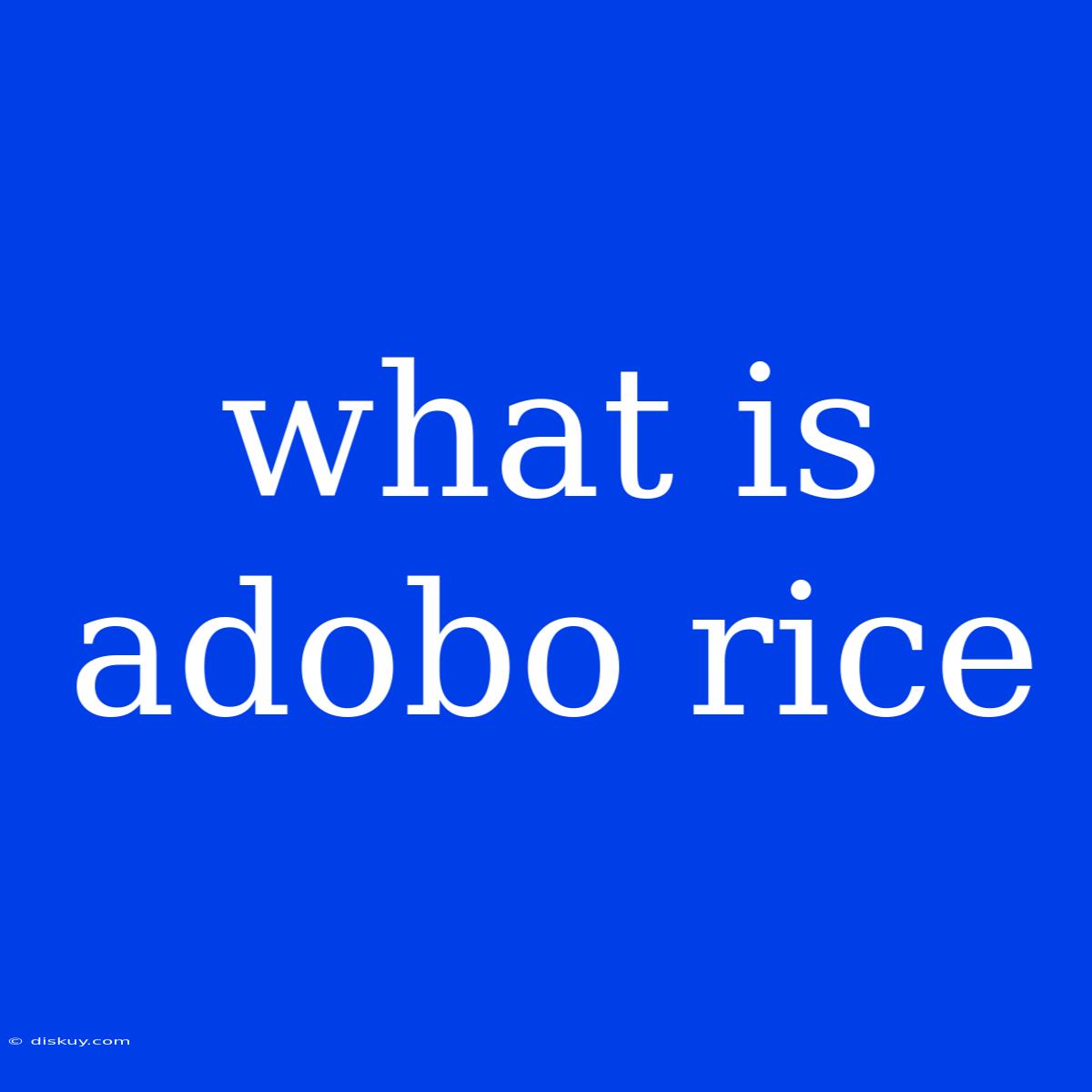 What Is Adobo Rice