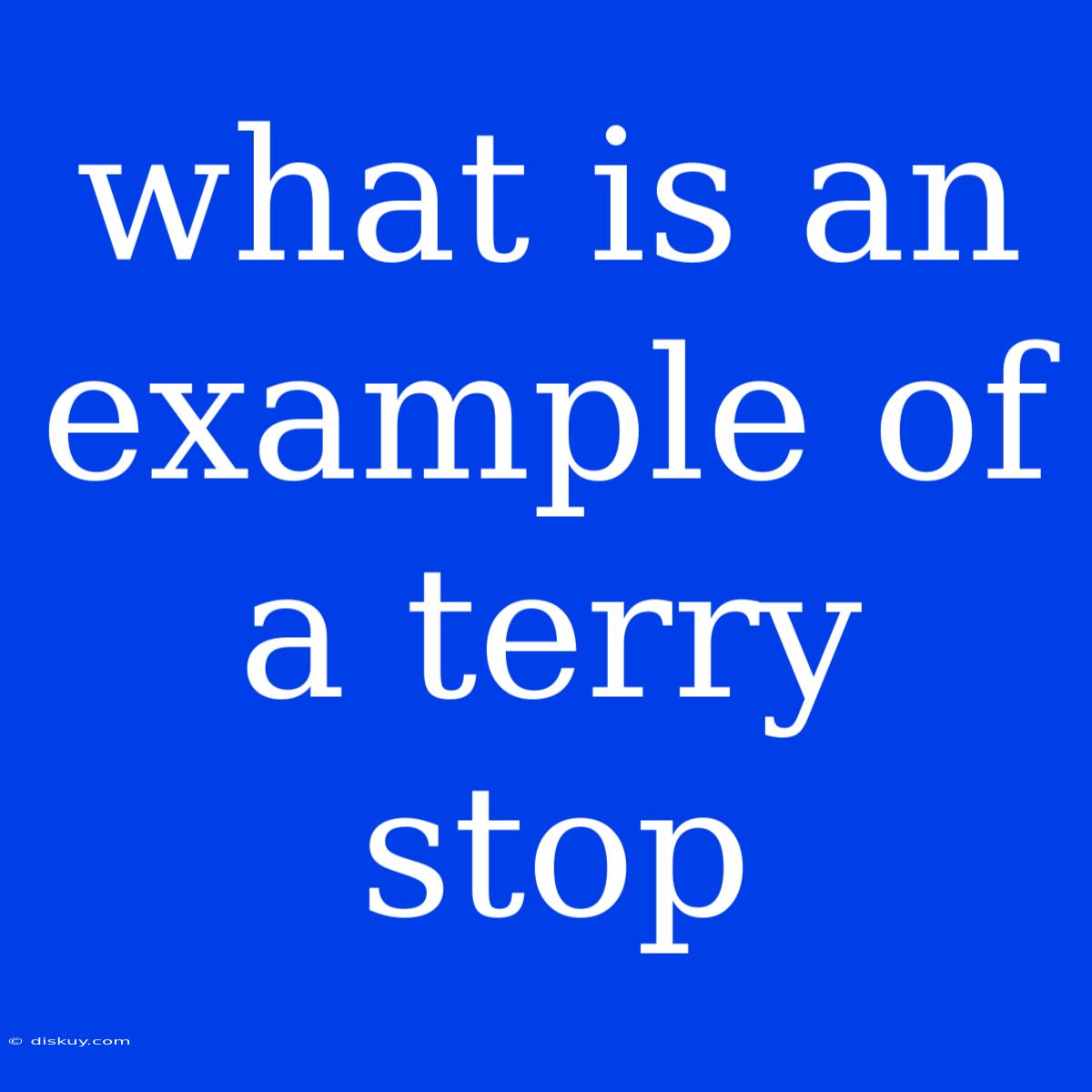 What Is An Example Of A Terry Stop