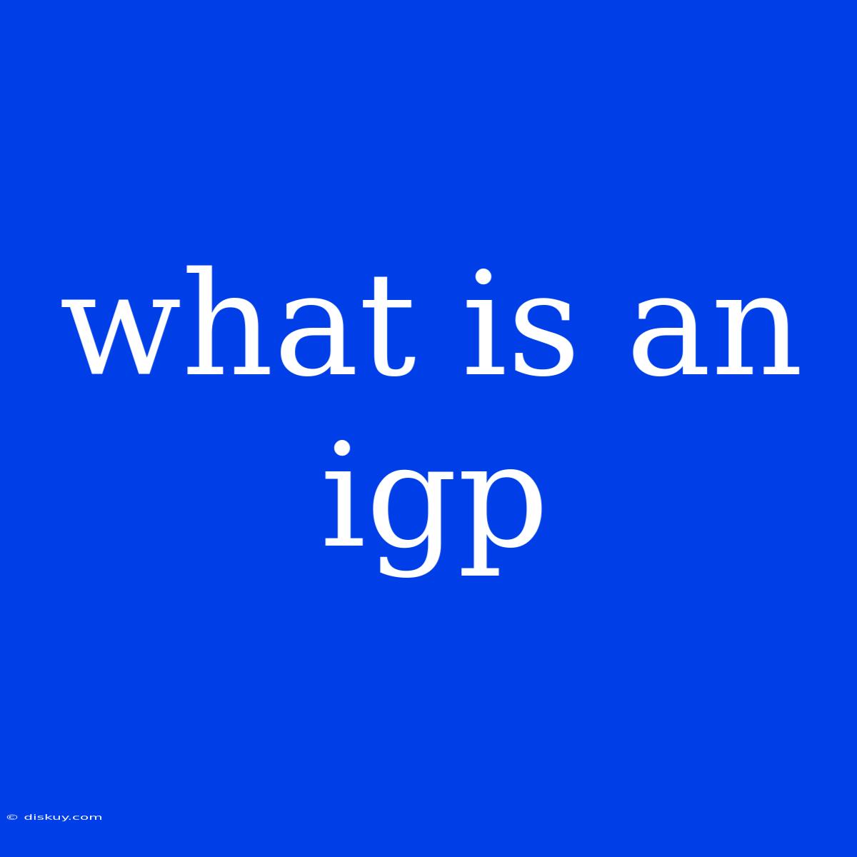 What Is An Igp