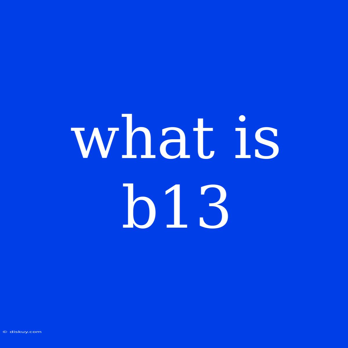 What Is B13