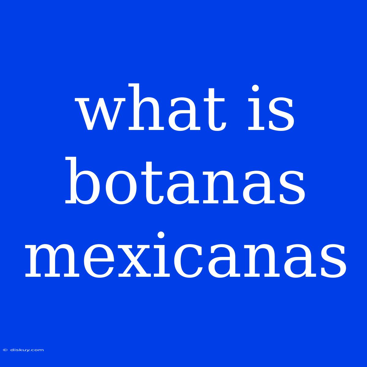 What Is Botanas Mexicanas