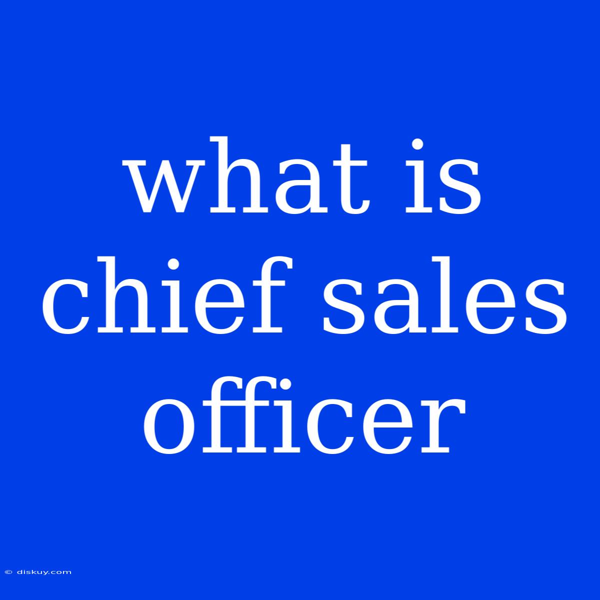 What Is Chief Sales Officer