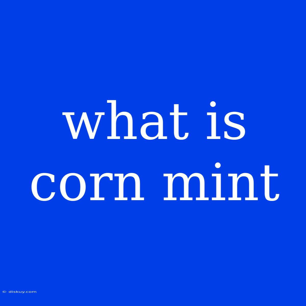 What Is Corn Mint