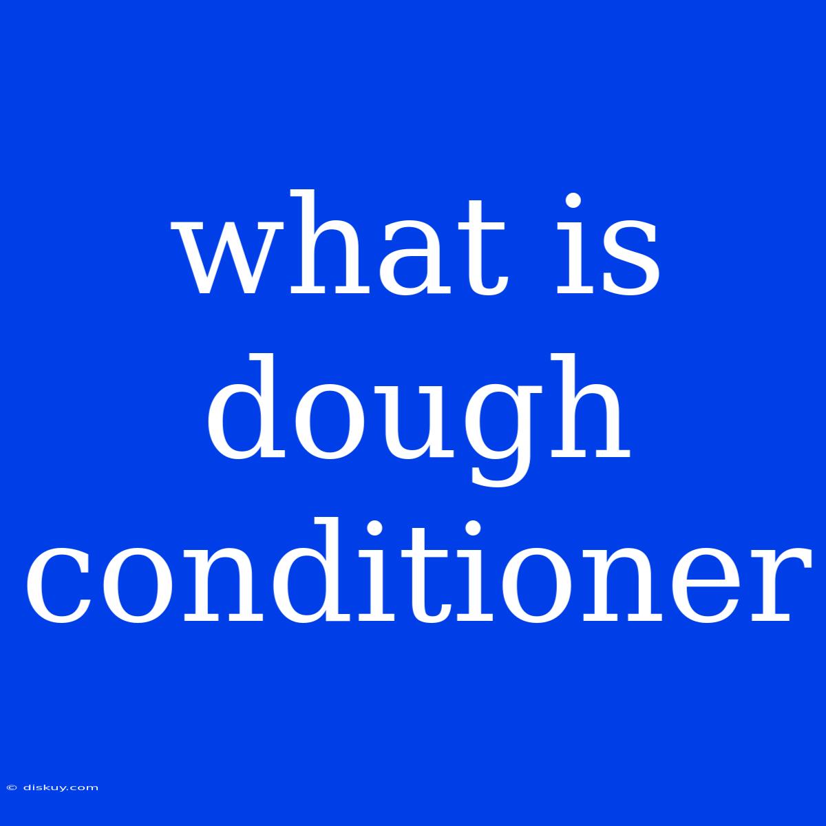 What Is Dough Conditioner