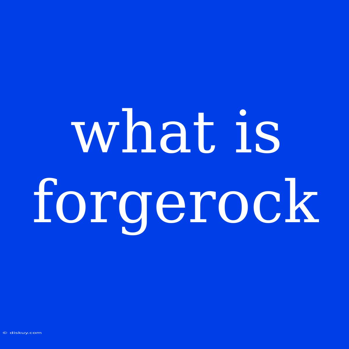 What Is Forgerock