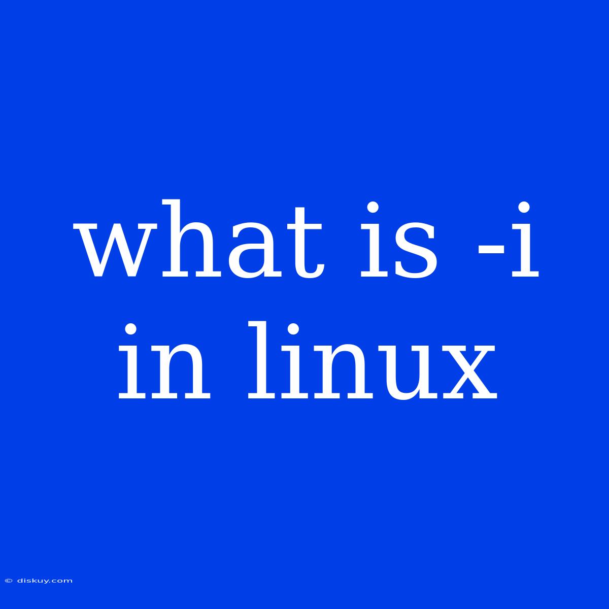 What Is -i In Linux