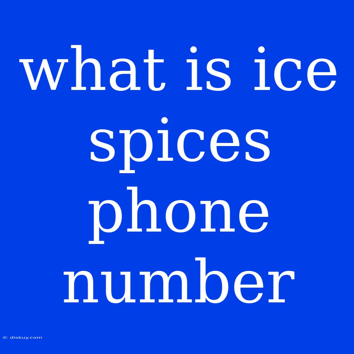 What Is Ice Spices Phone Number