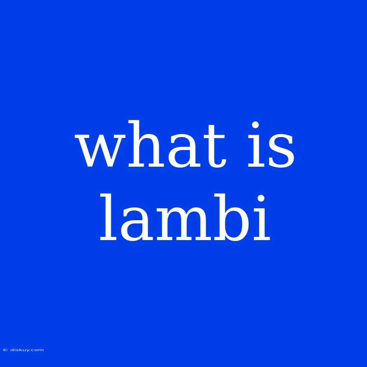 What Is Lambi