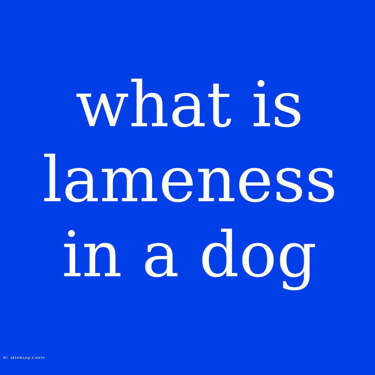 What Is Lameness In A Dog