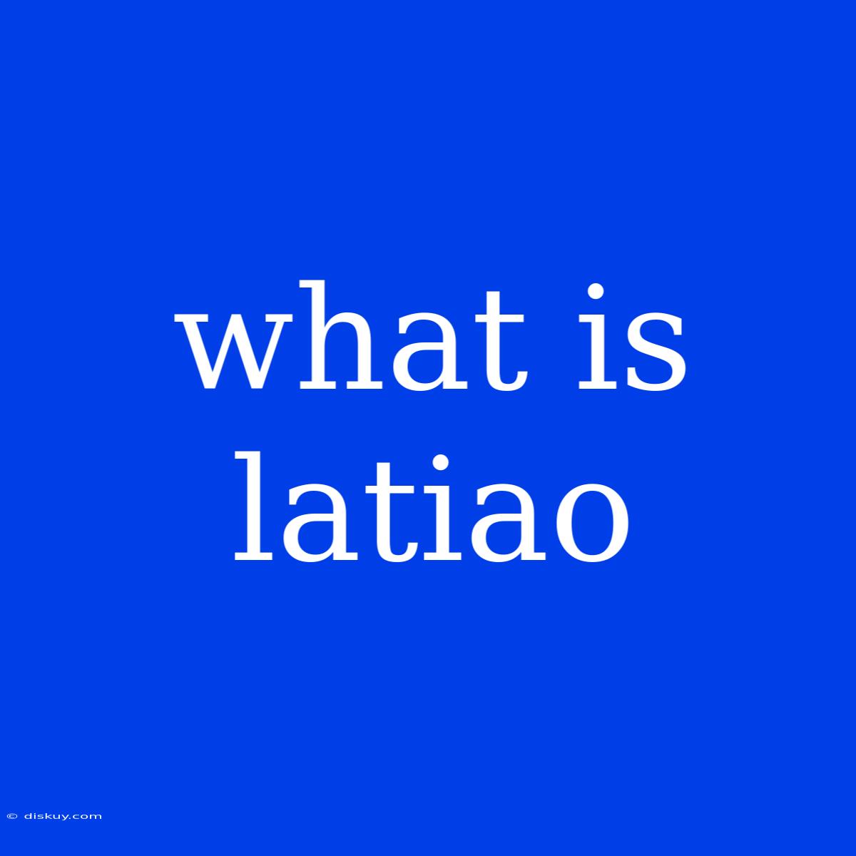 What Is Latiao