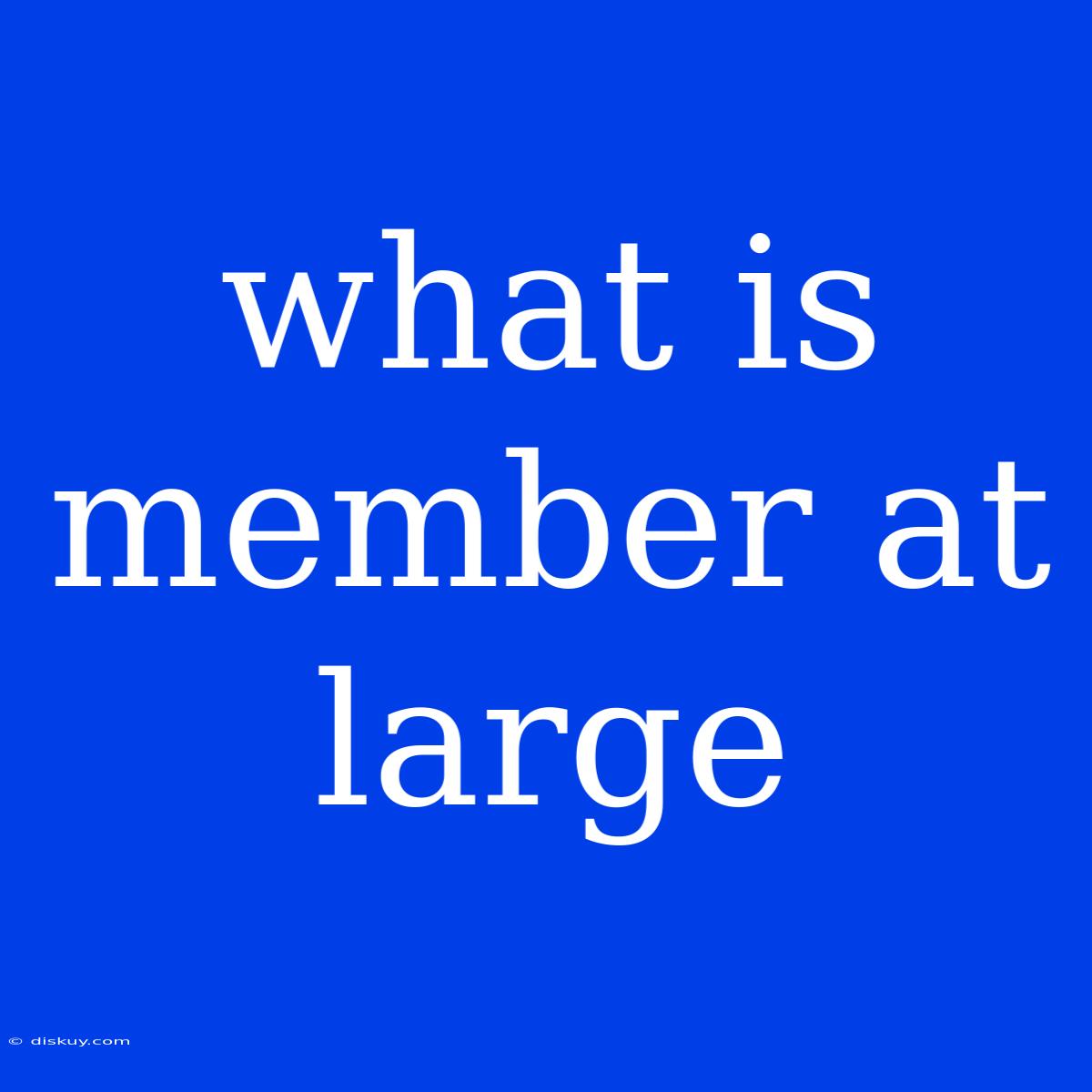 What Is Member At Large