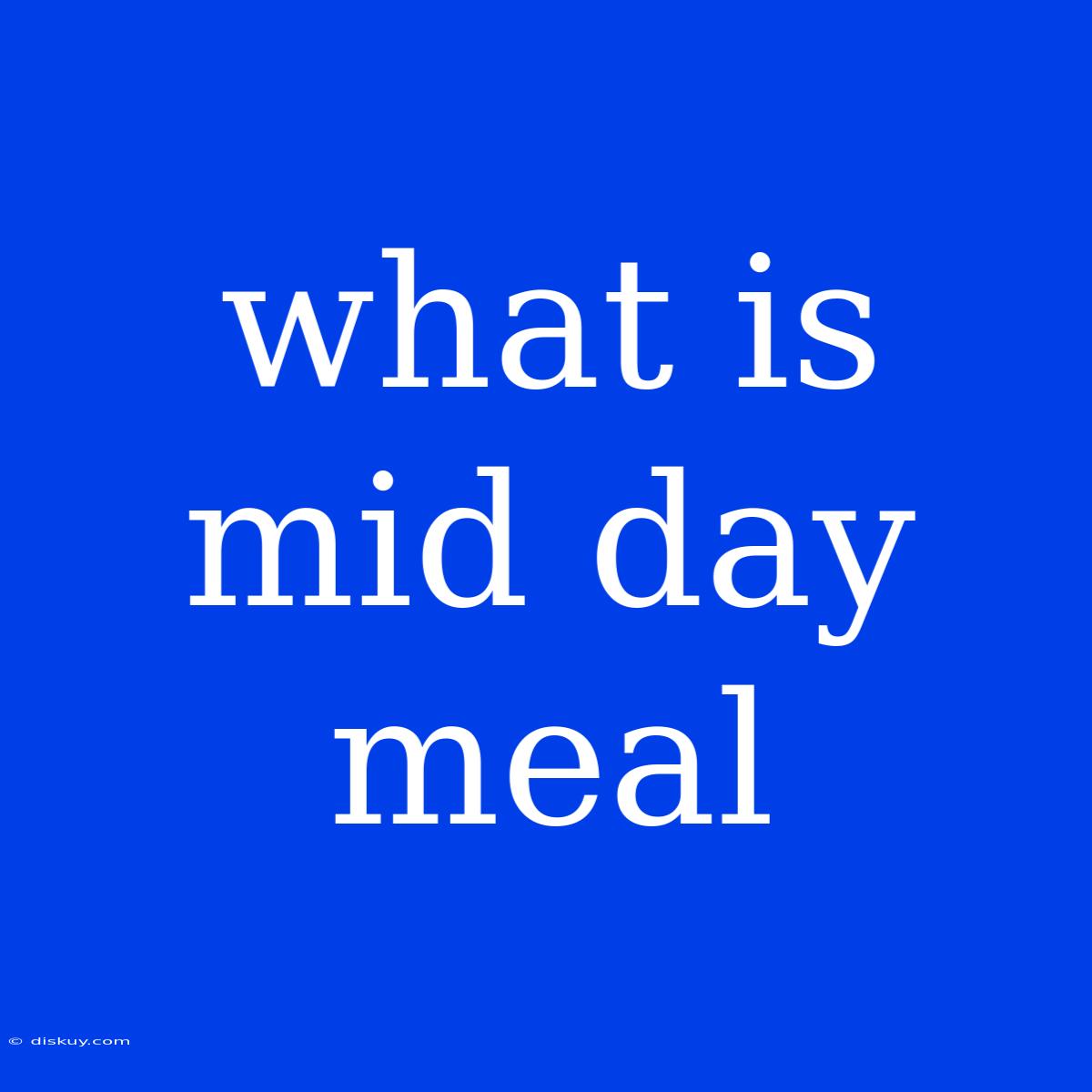 What Is Mid Day Meal