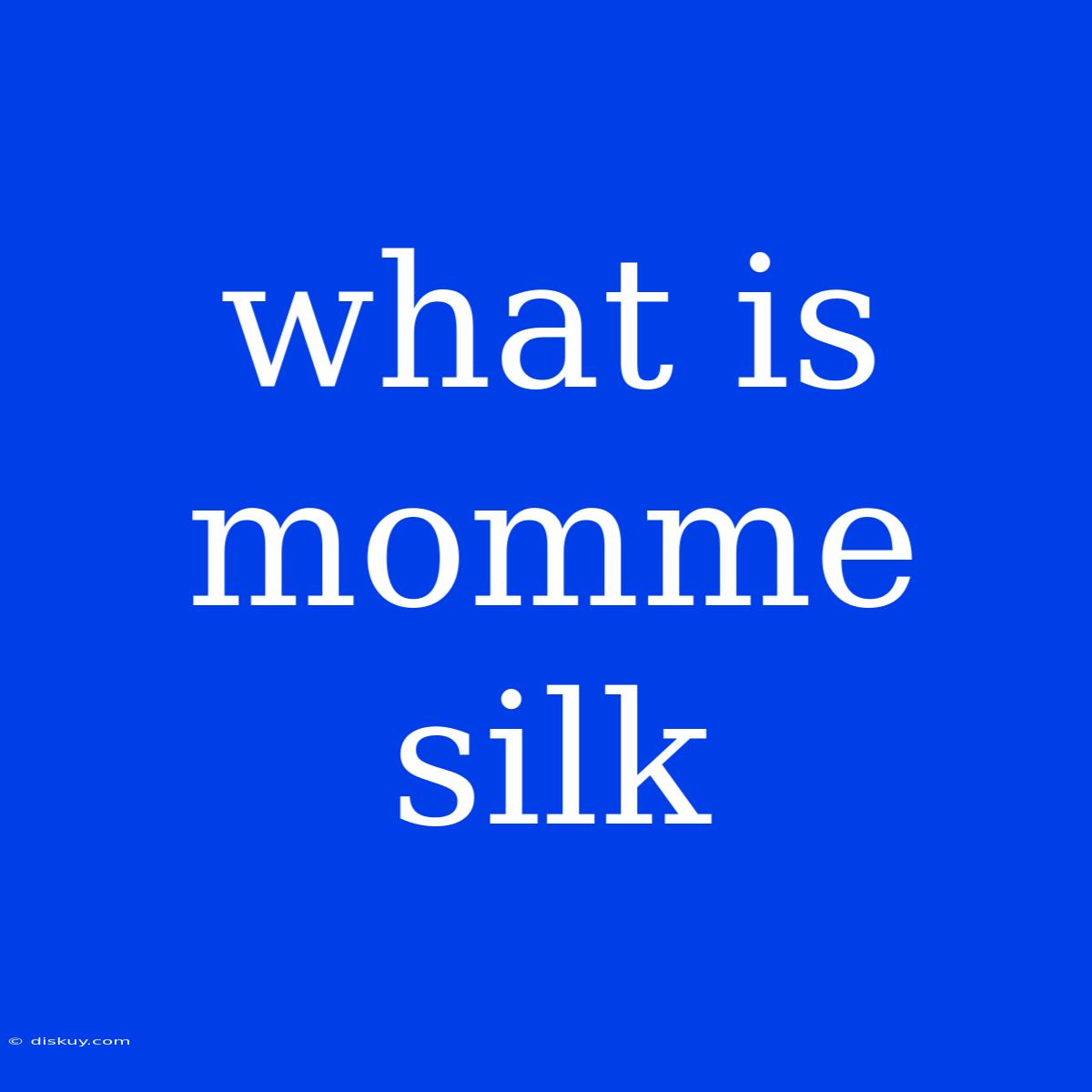 What Is Momme Silk