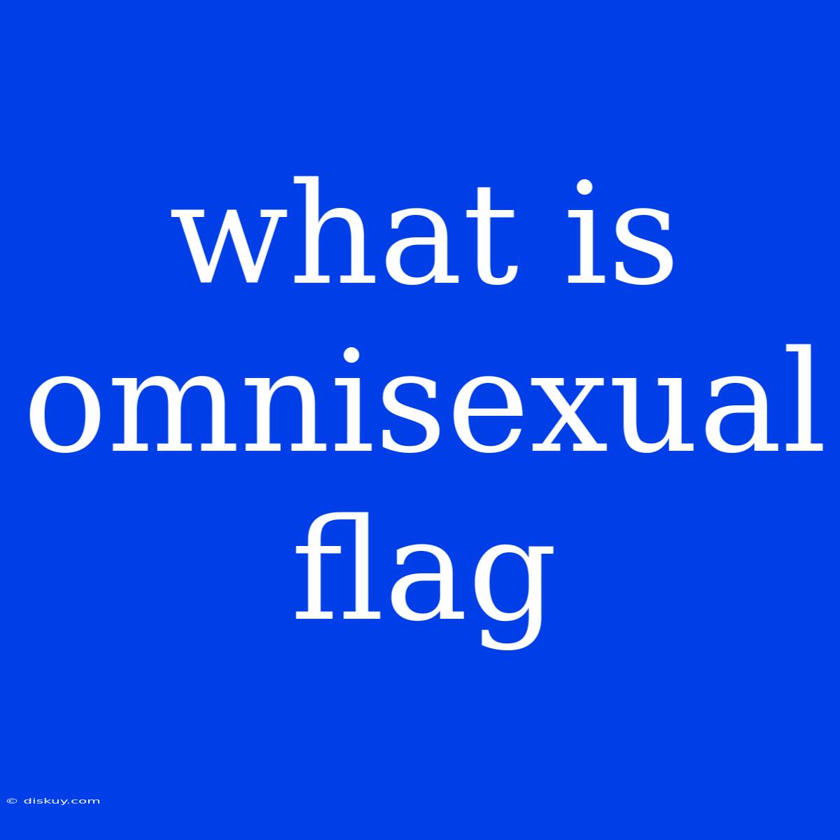 What Is Omnisexual Flag