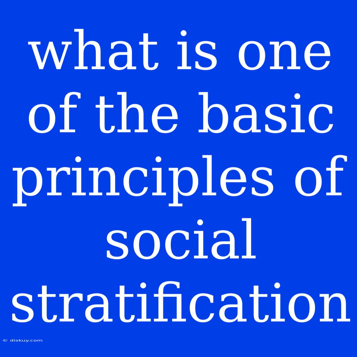 What Is One Of The Basic Principles Of Social Stratification