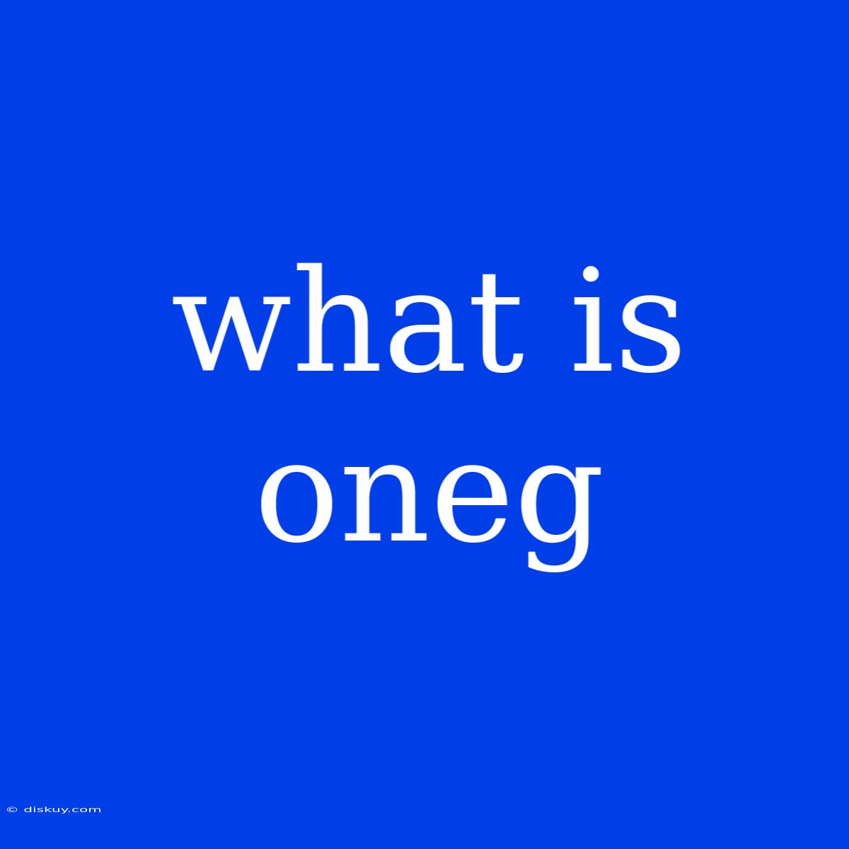 What Is Oneg