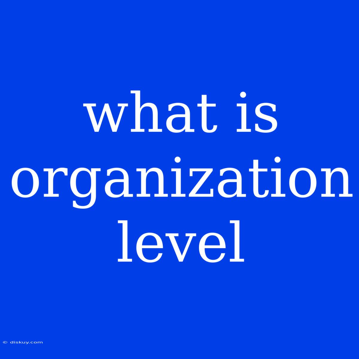 What Is Organization Level