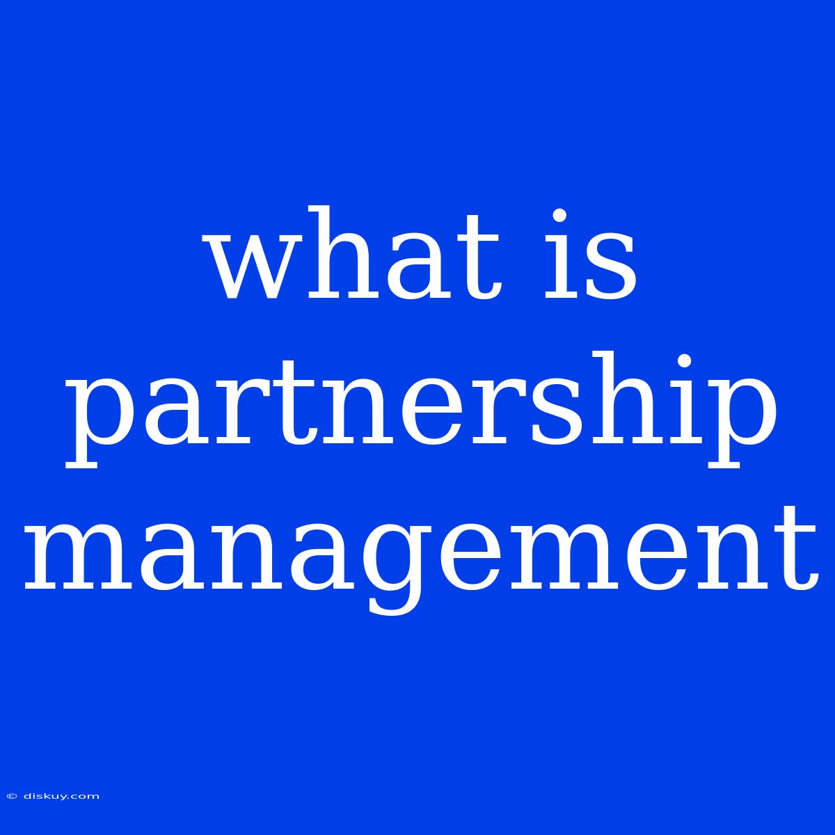 What Is Partnership Management