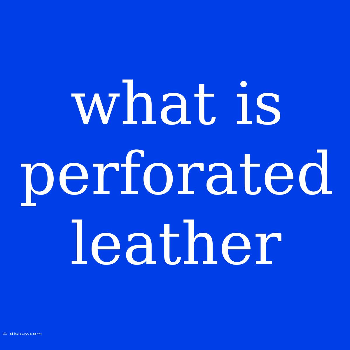 What Is Perforated Leather