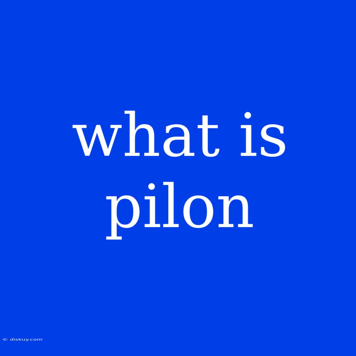 What Is Pilon