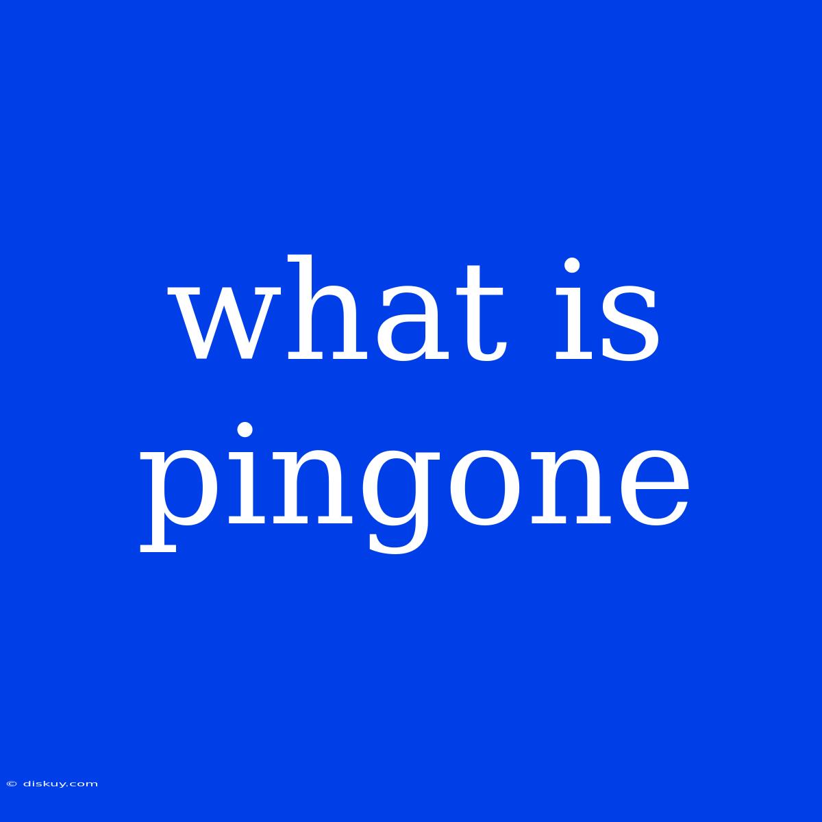 What Is Pingone