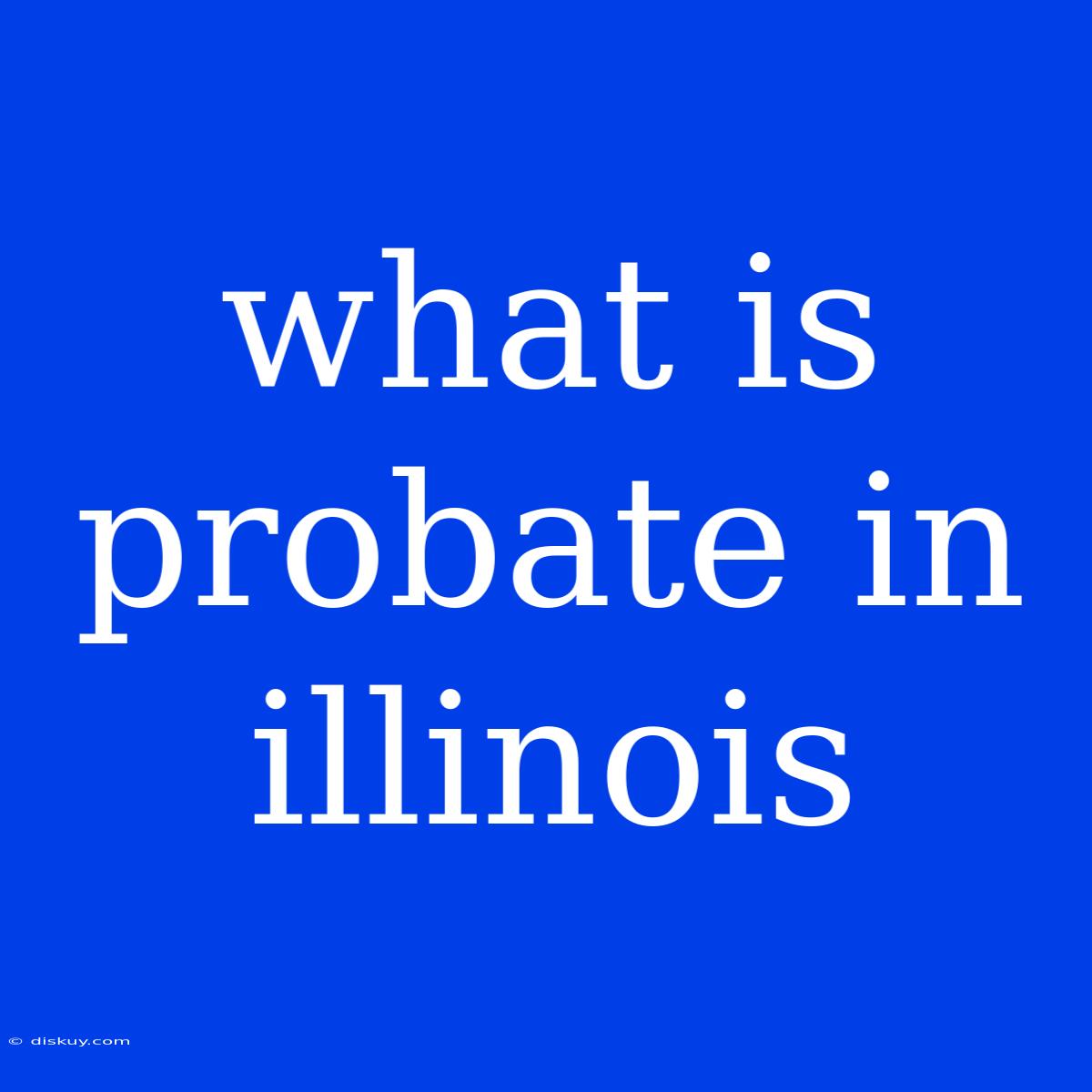 What Is Probate In Illinois