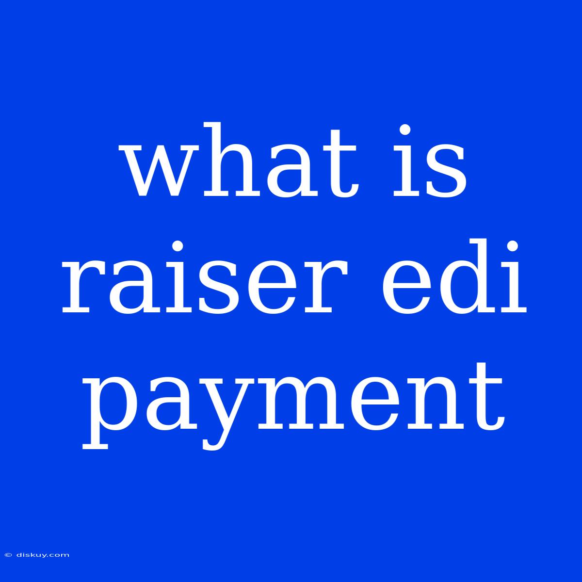 What Is Raiser Edi Payment